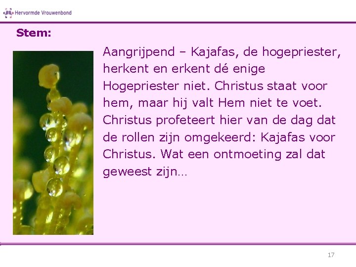 Stem: Aangrijpend – Kajafas, de hogepriester, herkent en erkent dé enige Hogepriester niet. Christus