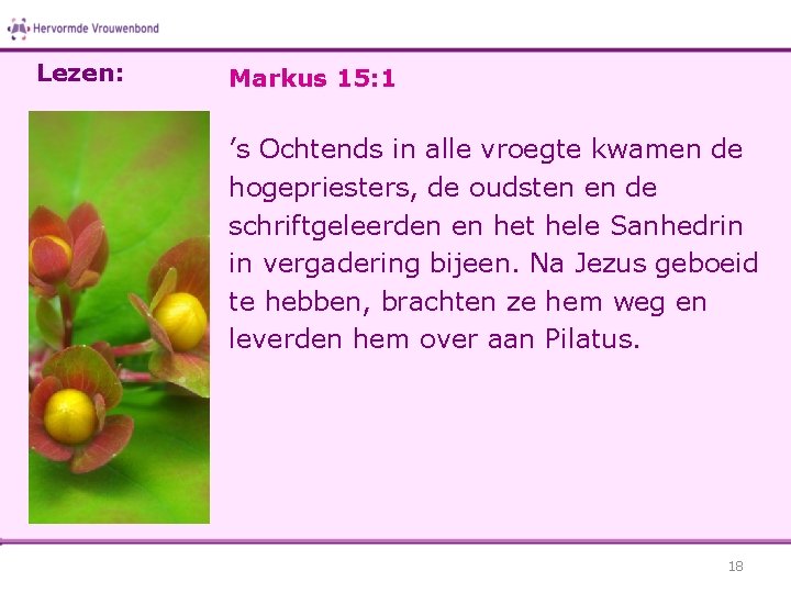 Lezen: Markus 15: 1 ’s Ochtends in alle vroegte kwamen de hogepriesters, de oudsten