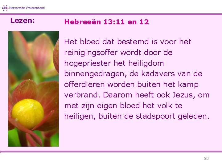 Lezen: Hebreeën 13: 11 en 12 Het bloed dat bestemd is voor het reinigingsoffer