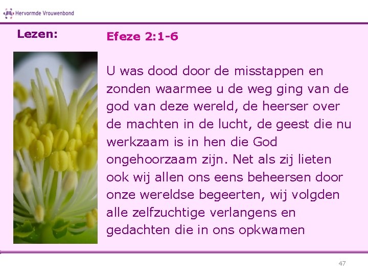 Lezen: Efeze 2: 1 -6 U was dood door de misstappen en zonden waarmee