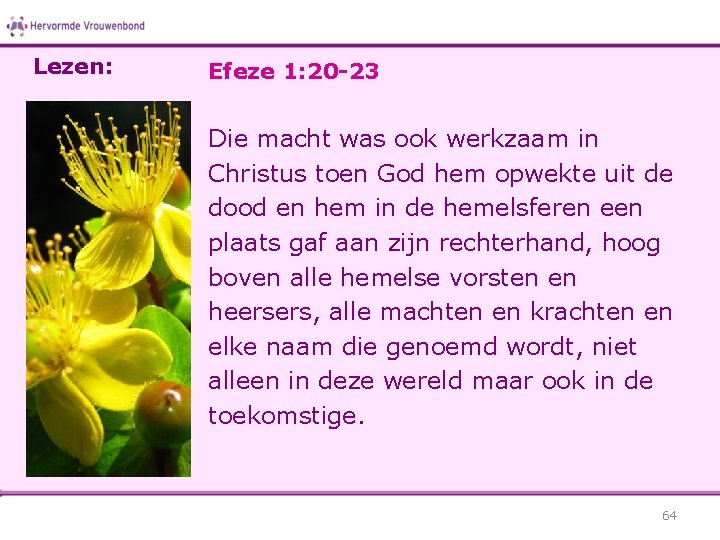 Lezen: Efeze 1: 20 -23 Die macht was ook werkzaam in Christus toen God