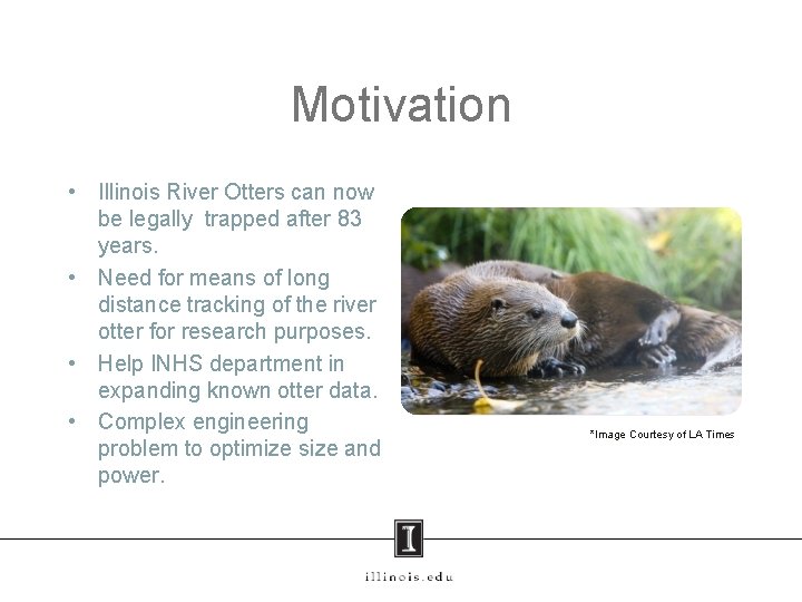 Motivation • Illinois River Otters can now be legally trapped after 83 years. •