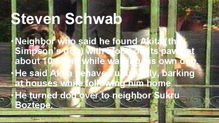 Steven Schwab • Neighbor who said he found Akita (the Simpson’s dog) with blood Steven Schwab • Neighbor who said he found Akita (the Simpson’s dog) with blood
