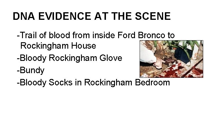 DNA EVIDENCE AT THE SCENE -Trail of blood from inside Ford Bronco to Rockingham DNA EVIDENCE AT THE SCENE -Trail of blood from inside Ford Bronco to Rockingham