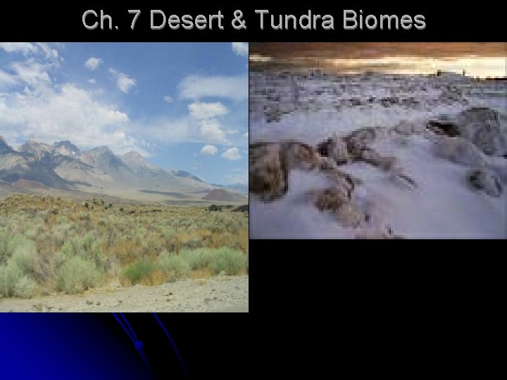 Ch. 7 Desert & Tundra Biomes 