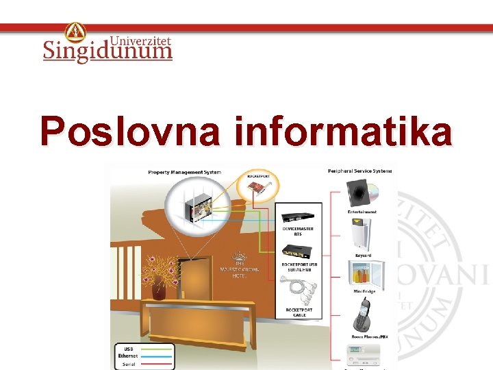 Poslovna informatika Periferijski uređaji 