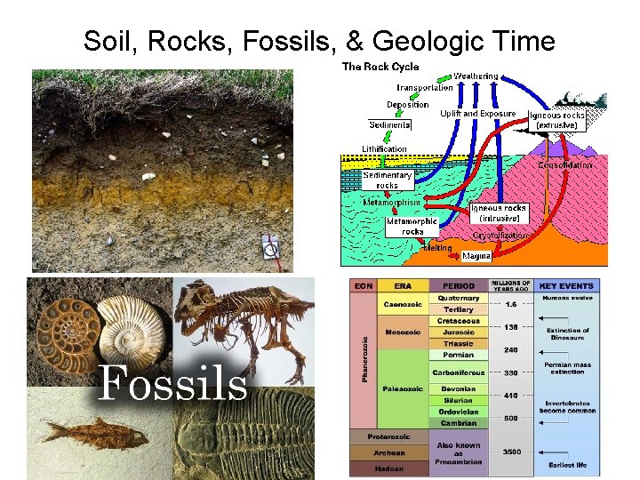 Soil, Rocks, Fossils, & Geologic Time 