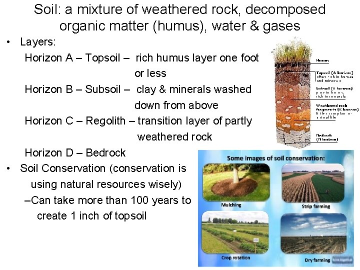 Soil: a mixture of weathered rock, decomposed organic matter (humus), water & gases •