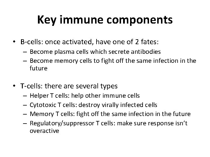 Key immune components • B-cells: once activated, have one of 2 fates: – Become