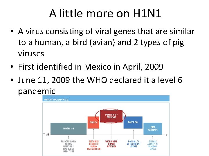 A little more on H 1 N 1 • A virus consisting of viral