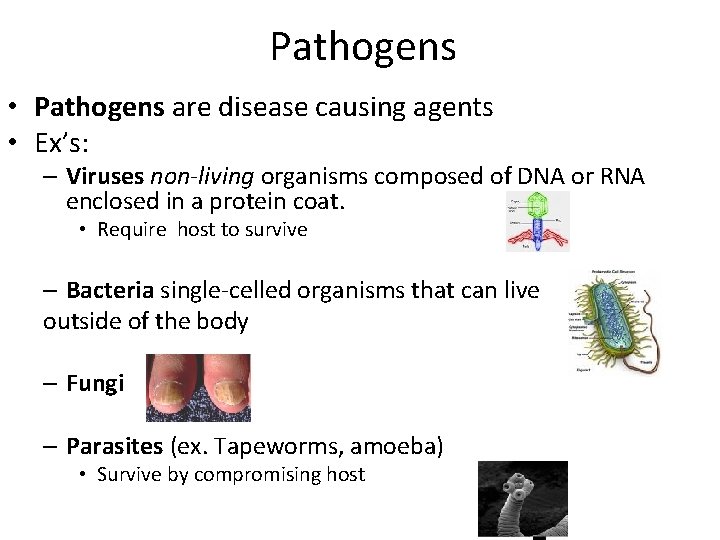 Pathogens • Pathogens are disease causing agents • Ex’s: – Viruses non-living organisms composed