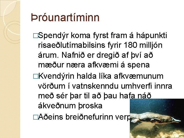 Þróunartíminn �Spendýr koma fyrst fram á hápunkti risaeðlutímabilsins fyrir 180 milljón árum. Nafnið er