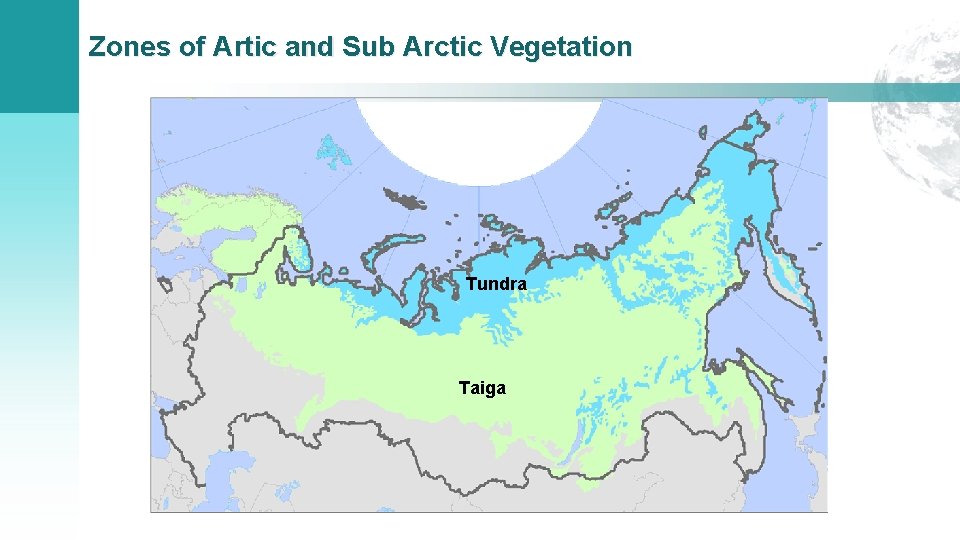 Zones of Artic and Sub Arctic Vegetation Tundra Taiga 