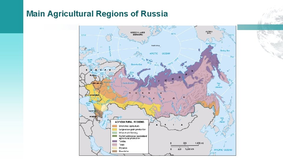 Main Agricultural Regions of Russia 