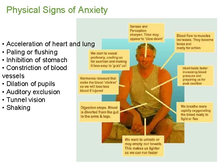 Physical Signs of Anxiety • Acceleration of heart and lung • Paling or flushing