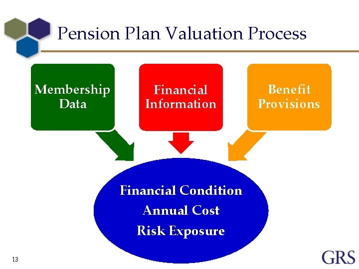 Pension Plan Valuation Process Membership Data Financial Information Financial Condition Annual Cost Risk Exposure