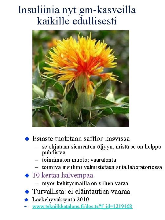 Insuliinia nyt gm-kasveilla kaikille edullisesti Esiaste tuotetaan safflor-kasvissa – se ohjataan siementen öljyyn, mistä Insuliinia nyt gm-kasveilla kaikille edullisesti Esiaste tuotetaan safflor-kasvissa – se ohjataan siementen öljyyn, mistä