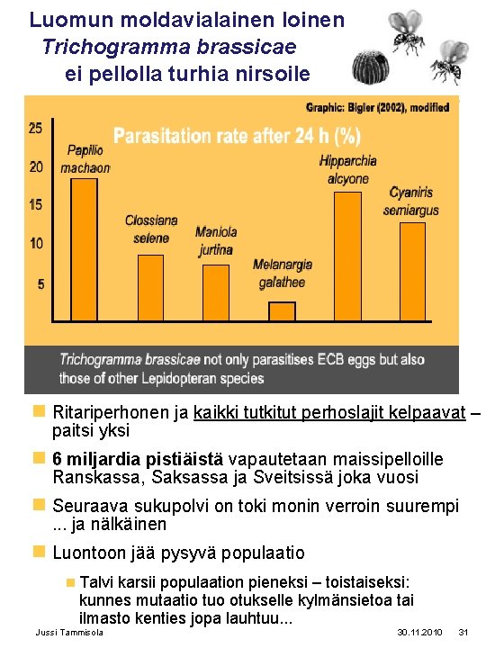 Luomun moldavialainen loinen Trichogramma brassicae ei pellolla turhia nirsoile n Ritariperhonen ja kaikki tutkitut