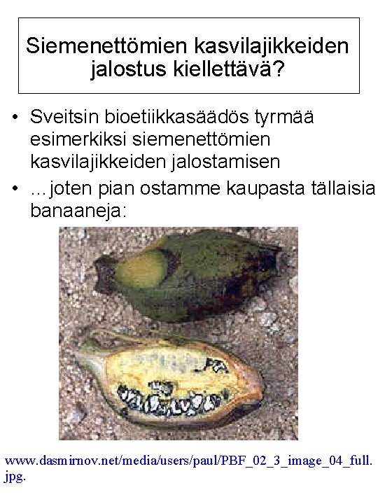 Siemenettömien kasvilajikkeiden jalostus kiellettävä? • Sveitsin bioetiikkasäädös tyrmää esimerkiksi siemenettömien kasvilajikkeiden jalostamisen • …joten Siemenettömien kasvilajikkeiden jalostus kiellettävä? • Sveitsin bioetiikkasäädös tyrmää esimerkiksi siemenettömien kasvilajikkeiden jalostamisen • …joten