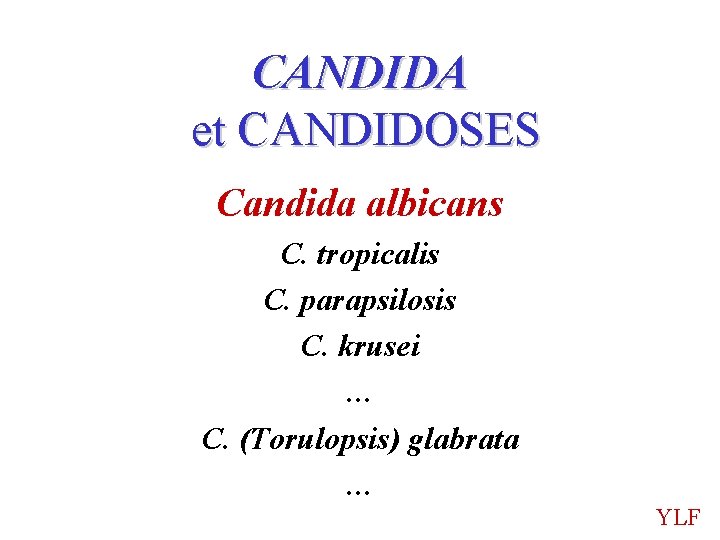 CANDIDA et CANDIDOSES Candida albicans C. tropicalis C. parapsilosis C. krusei … C. (Torulopsis)