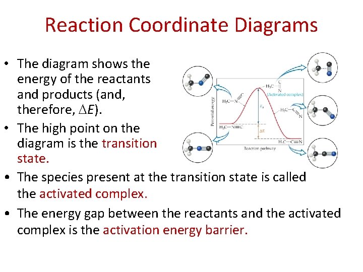 Reaction Coordinate Diagrams • The diagram shows the energy of the reactants and products