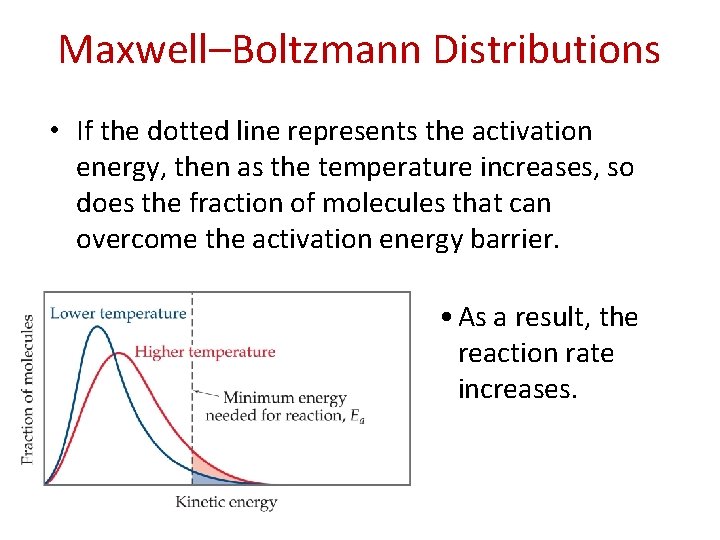 Maxwell–Boltzmann Distributions • If the dotted line represents the activation energy, then as the