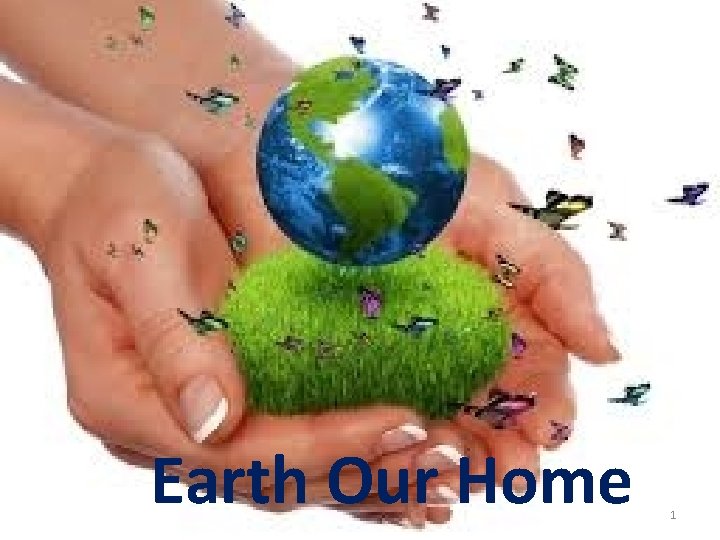 Earth Our Home 1 