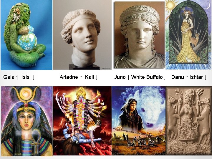 Gaia ↑ Isis ↓ Ariadne ↑ Kali ↓ Juno ↑ White Buffalo↓ Danu ↑