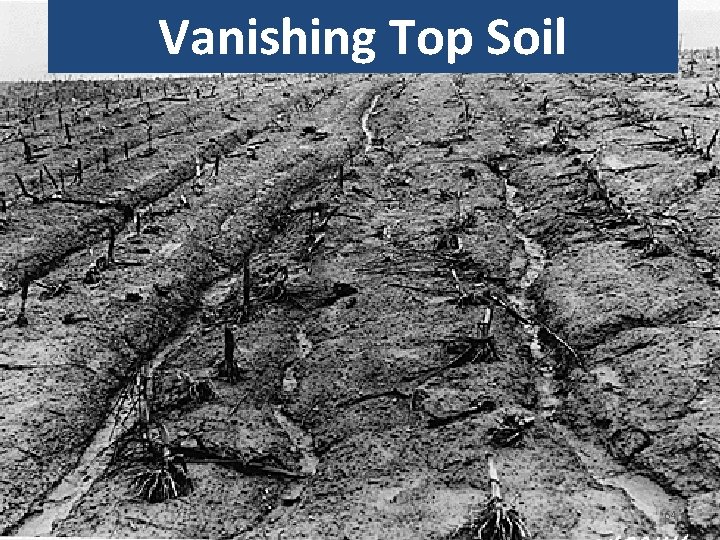 Vanishing Top Soil 64 