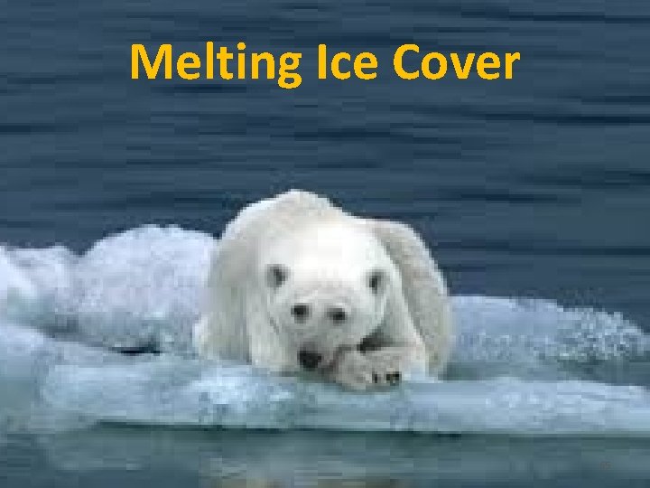 Melting Ice Cover 65 