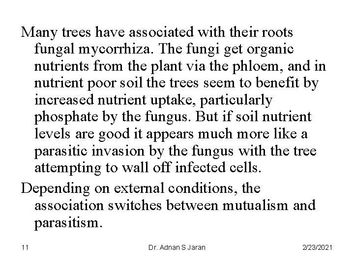 Many trees have associated with their roots fungal mycorrhiza. The fungi get organic nutrients