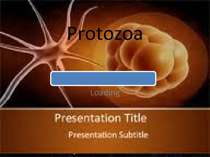 Protozoa Loading 