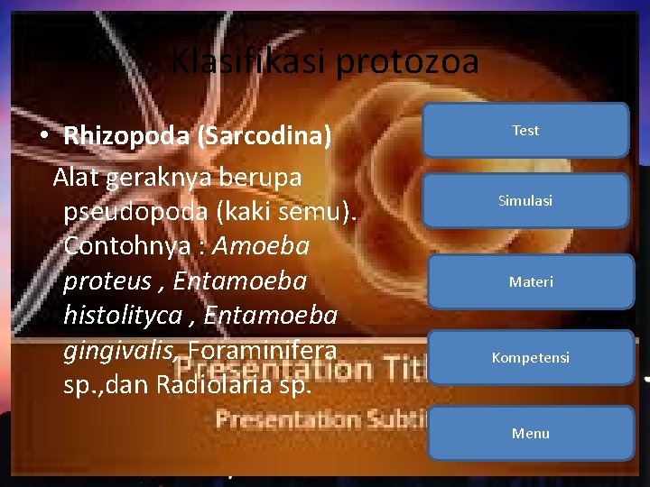 Klasifikasi protozoa • Rhizopoda (Sarcodina) Alat geraknya berupa pseudopoda (kaki semu). Contohnya : Amoeba