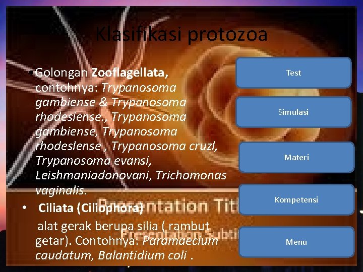 Klasifikasi protozoa • Golongan Zooflagellata, contohnya: Trypanosoma gambiense & Trypanosoma rhodesiense. , Trypanosoma gambiense,