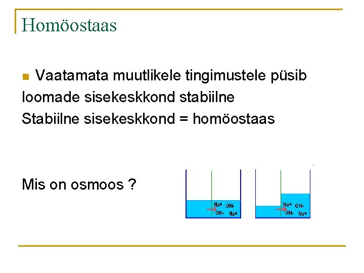 Homöostaas Vaatamata muutlikele tingimustele püsib loomade sisekeskkond stabiilne Stabiilne sisekeskkond = homöostaas n Mis
