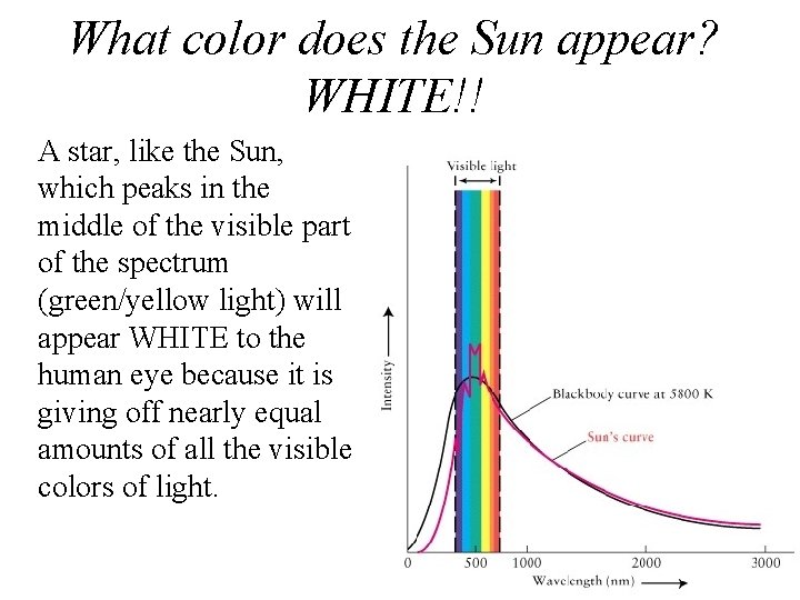 What color does the Sun appear? WHITE!! A star, like the Sun, which peaks