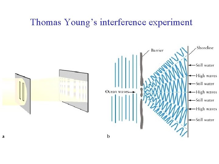 Thomas Young’s interference experiment 