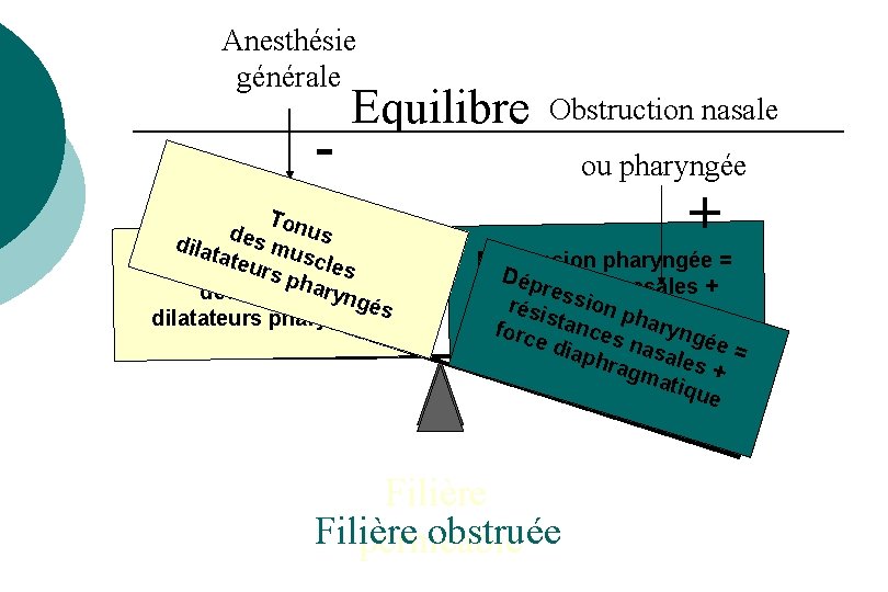 Anesthésie générale - Equilibre Ton u d dila es mu s tate urs scles Anesthésie générale - Equilibre Ton u d dila es mu s tate urs scles