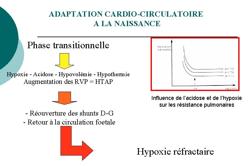 ADAPTATION CARDIO-CIRCULATOIRE A LA NAISSANCE Phase transitionnelle Hypoxie - Acidose - Hypovolémie - Hypothermie ADAPTATION CARDIO-CIRCULATOIRE A LA NAISSANCE Phase transitionnelle Hypoxie - Acidose - Hypovolémie - Hypothermie