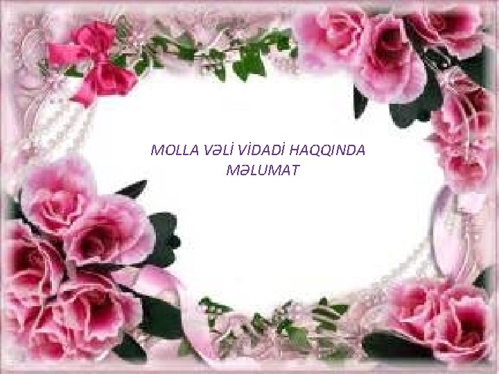 MOLLA VƏLİ VİDADİ HAQQINDA MƏLUMAT 