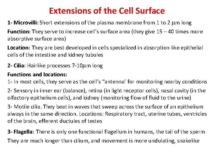 Extensions of the Cell Surface 1 - Microvilli: Short extensions of the plasma membrane Extensions of the Cell Surface 1 - Microvilli: Short extensions of the plasma membrane