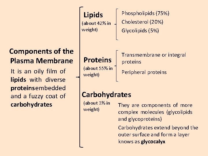 Lipids (about 42% in weight) Components of the Plasma Membrane It is an oily Lipids (about 42% in weight) Components of the Plasma Membrane It is an oily