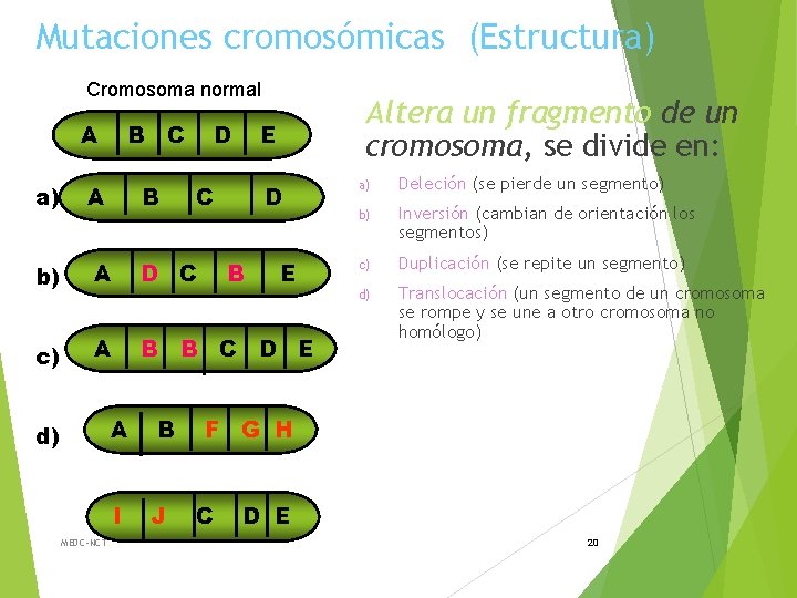 Mutaciones cromosómicas (Estructura) Cromosoma normal A B C D a) A B b) A