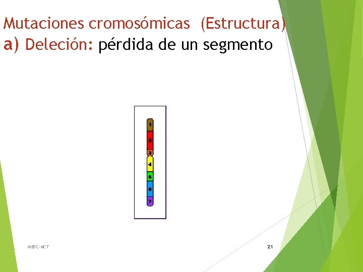 Mutaciones cromosómicas (Estructura) a) Deleción: pérdida de un segmento MEDC-NCT 21 