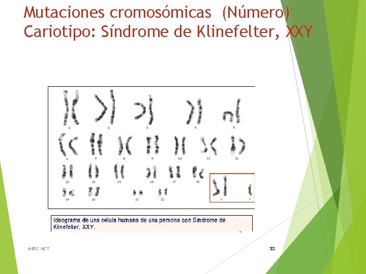 Mutaciones cromosómicas (Número) Cariotipo: Síndrome de Klinefelter, XXY MEDC-NCT 32 