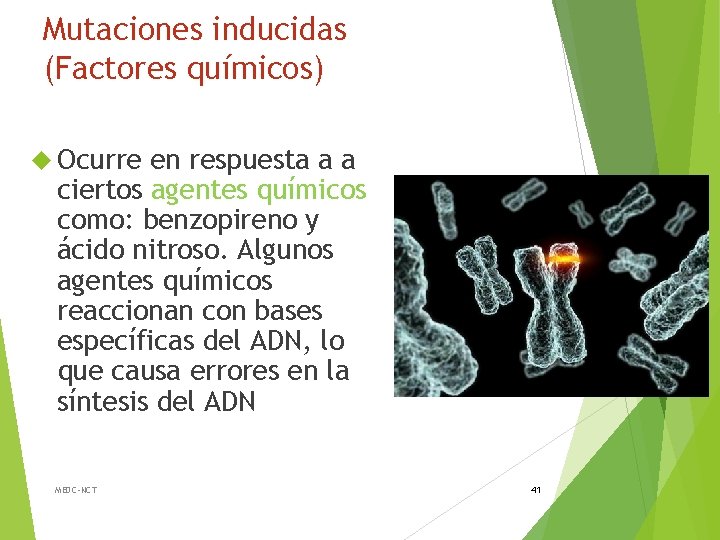 Mutaciones inducidas (Factores químicos) Ocurre en respuesta a a ciertos agentes químicos como: benzopireno