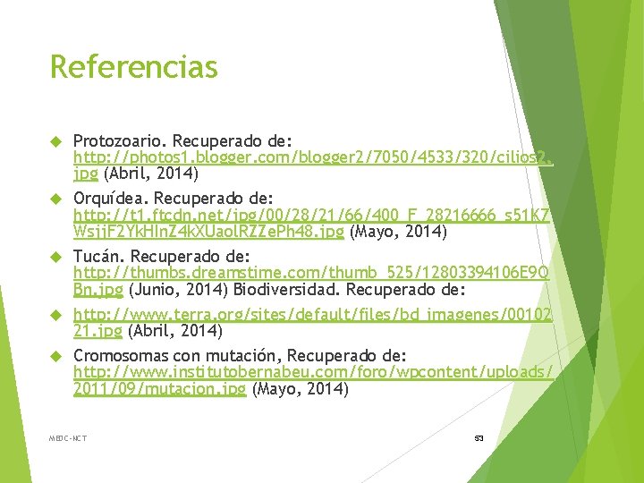 Referencias Protozoario. Recuperado de: http: //photos 1. blogger. com/blogger 2/7050/4533/320/cilios 2. jpg (Abril, 2014)