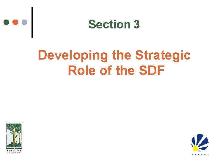 Section 3 Developing the Strategic Role of the SDF 