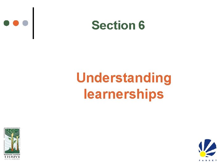 Section 6 Understanding learnerships 