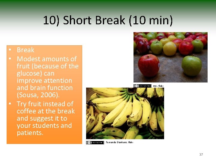 10) Short Break (10 min) • Break • Modest amounts of fruit (because of